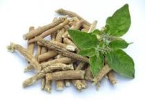 The Benefits of Ashwagandha: Why You Should Include It in Your Daily Routine