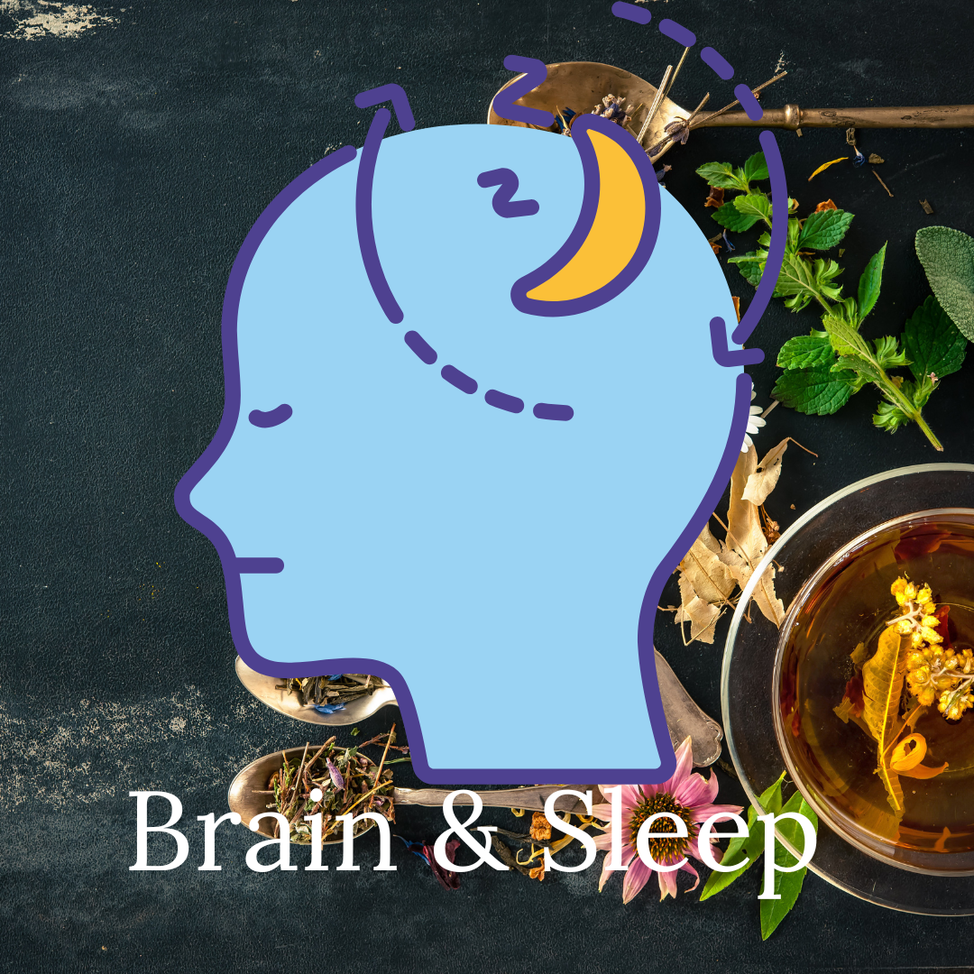 Brain & Sleep