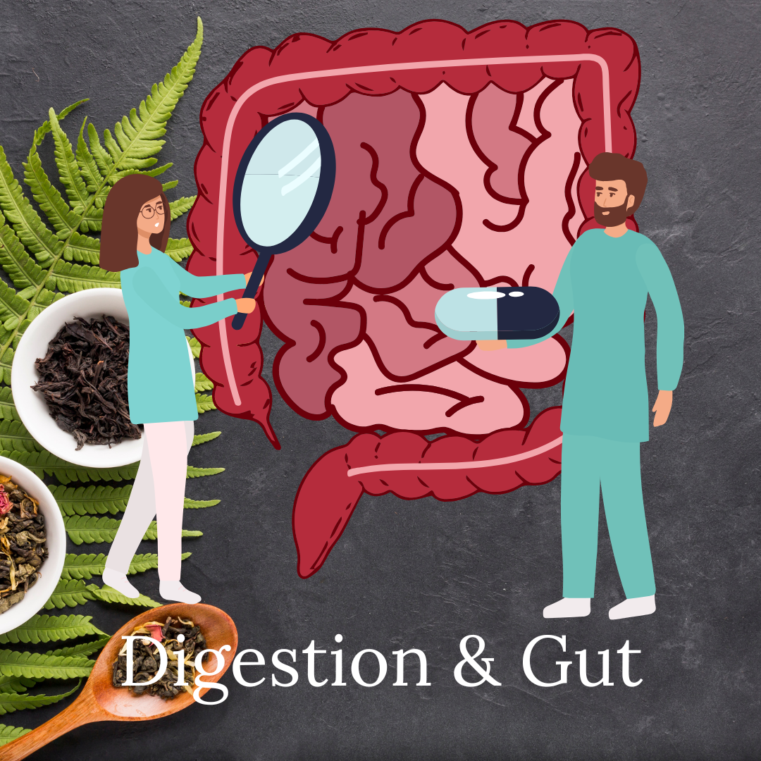 Digestion & Gut